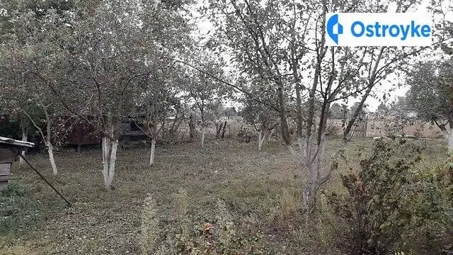 Незалежности — фото 4
