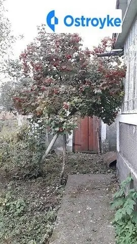 Незалежности — фото 2