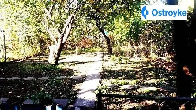 козацьких гетьманів — фото 4