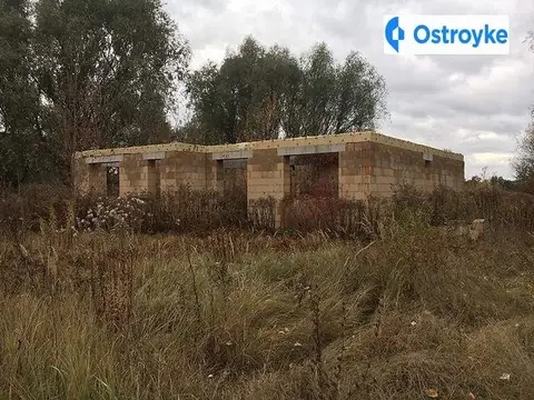 Березова