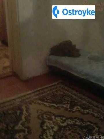 Богдана Хмельницкого улица — фото 2