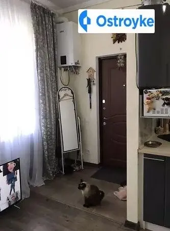 Базарная улица — фото 5