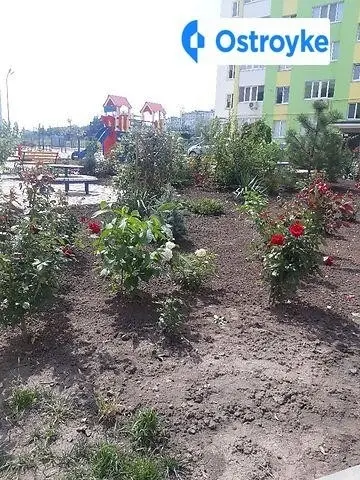 Архитектора Старова улица — фото 4