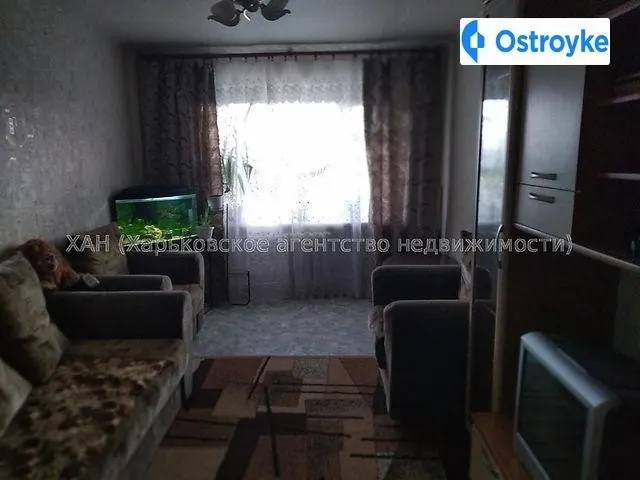 Шекспира улица — фото 1
