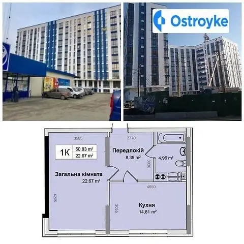 1-кімнатна квартира, 51 м², вул. Центральна, 21, Київ
