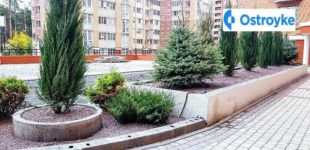 Університетська улица — фото 3