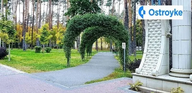 Університетська улица — фото 3
