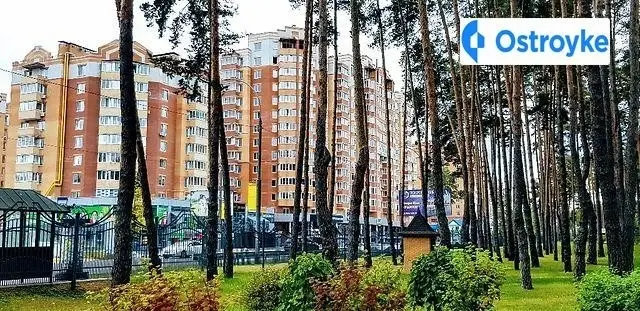 Університетська улица — фото 5
