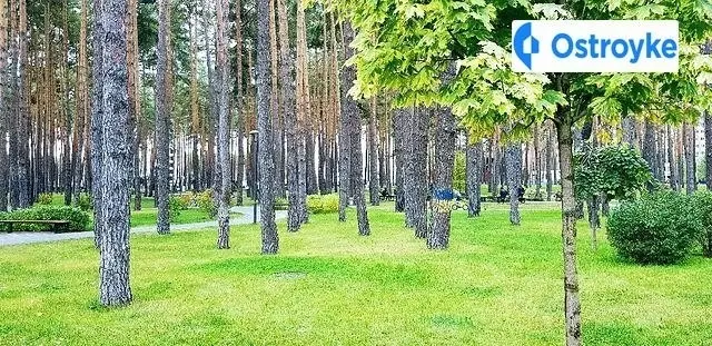 Університетська улица — фото 4