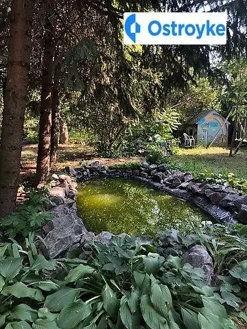 Ольгинская улица — фото 2
