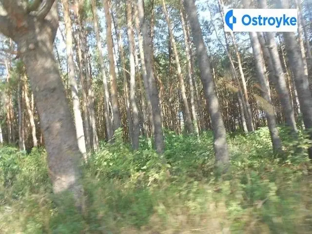 Продаж будинку, 60 м², Полтава — фото 3