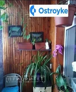 Ильфа и Петрова улица — фото 3