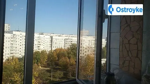 Амосова — фото 3