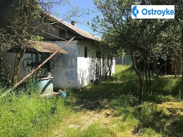 Ярослава Мудрого — фото 3