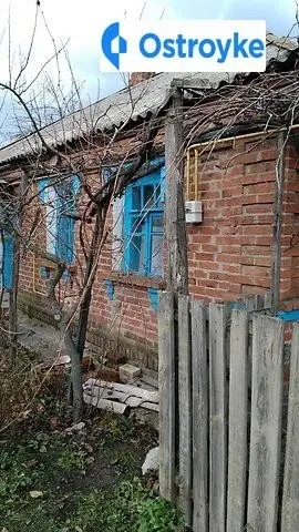 Панчука — фото 5