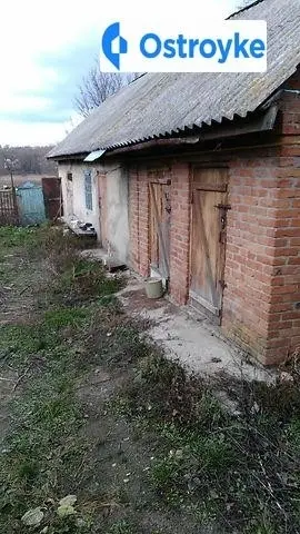 Панчука — фото 4