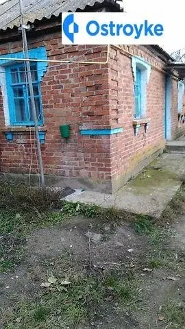 Панчука — фото 2