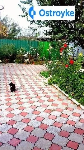 Продаж будинку, 74 м², Борова — фото 1