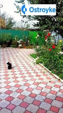 Продажа дома, 74 м², Боровая