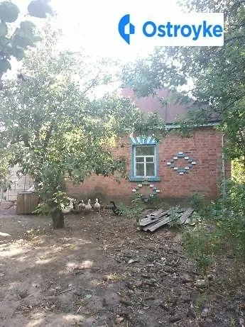 Продаж будинку, 48 м², Лохвиця — фото 1