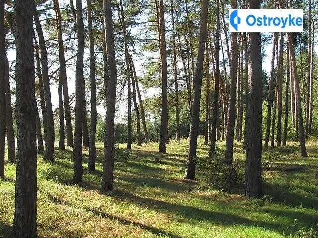 Оренда будинку, 90 м², Вінниця — фото 5