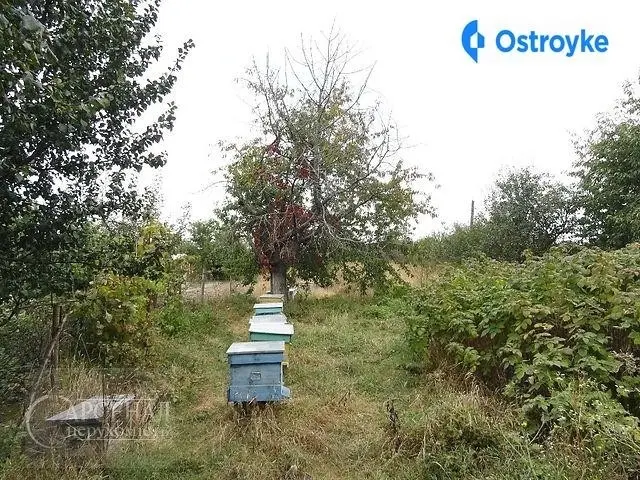 Шевченко улица — фото 4
