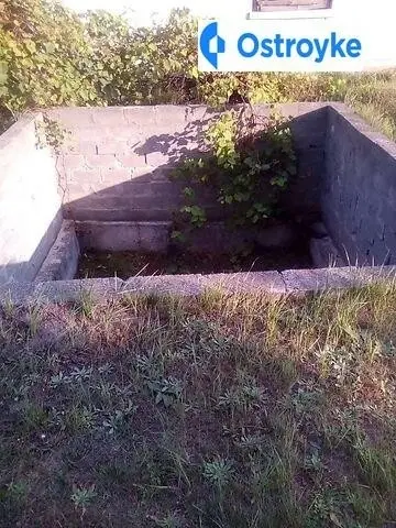 Польова — фото 4