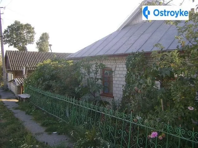 Комарова — фото 1
