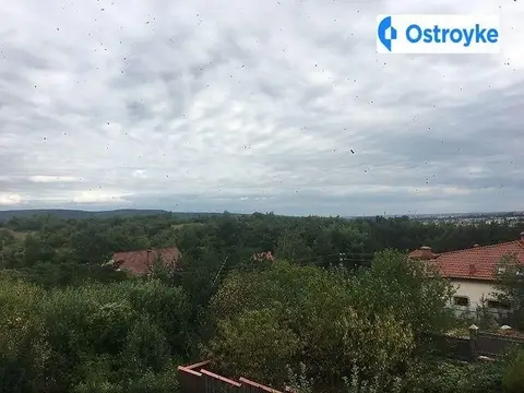 Червениця