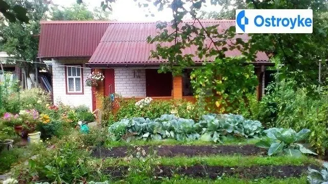 Садовая 53А (Осокорки) улица — фото 5