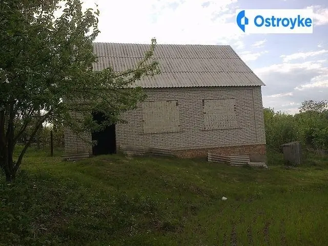 Комарова — фото 5