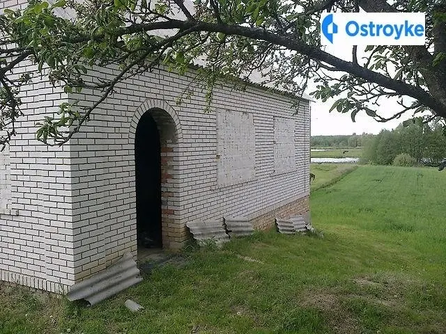 Комарова — фото 3