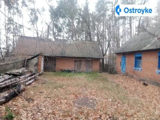 Продаж будинку, 47 м², Іванковичі — фото 1