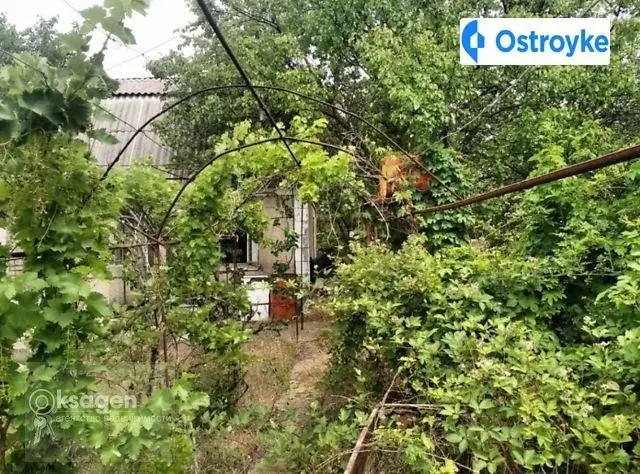 Продаж будинку, 60 м², Миколаїв — фото 3
