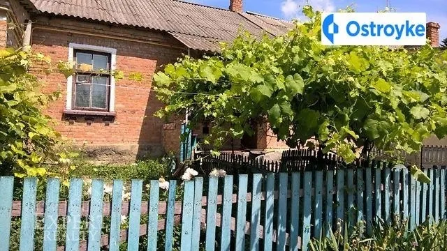 Лесная улица — фото 1