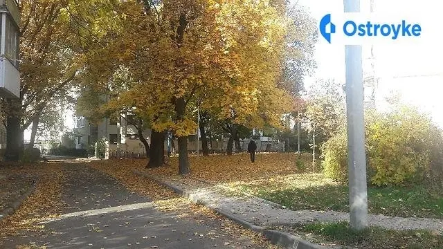 Шопена улица — фото 4