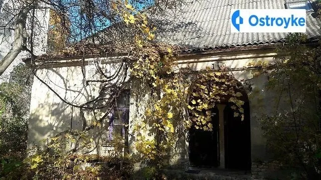 Шопена улица — фото 1