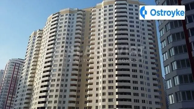 Олени Пчілки улица — фото 2