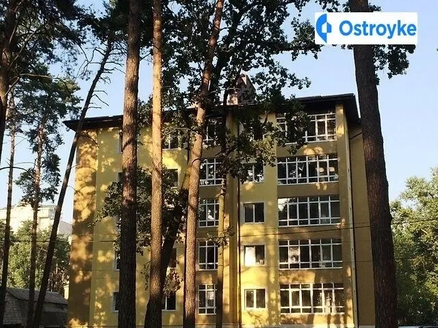 Зои Алиевой улица — фото 1