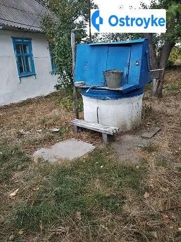 Лісова — фото 3