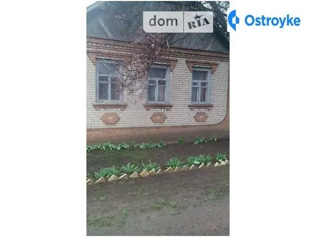 Лесозащитный пер. — фото 2