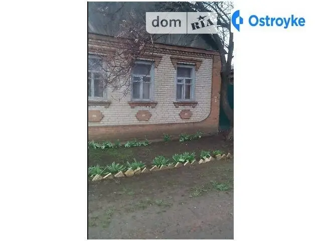 Лесозащитный пер. — фото 3