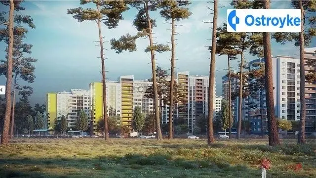 Бориспольская улица — фото 3