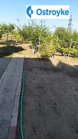 Освобождения — фото 4
