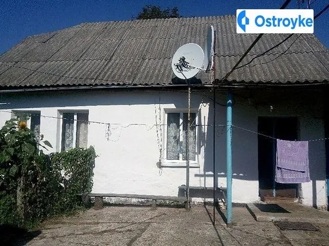 Проліскова — фото 1
