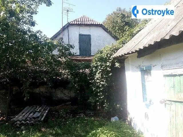 Проліскова — фото 3