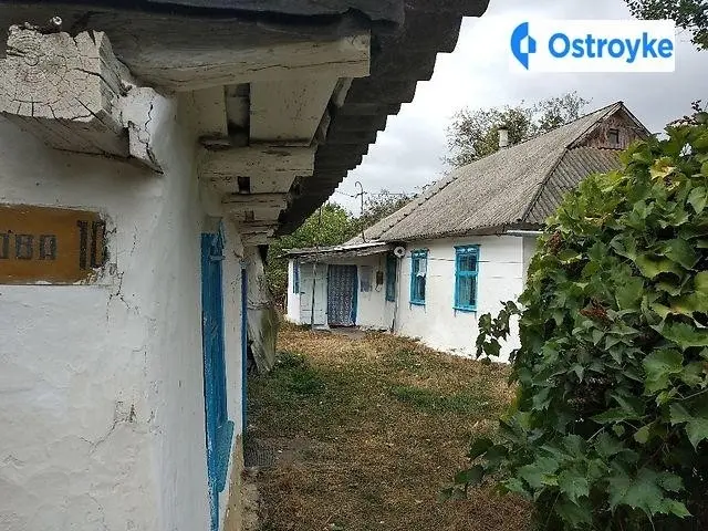 Лісова — фото 2