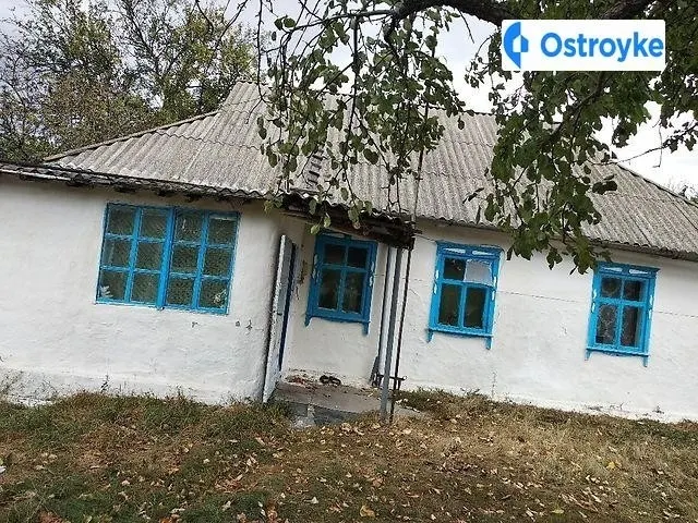 Лісова — фото 1