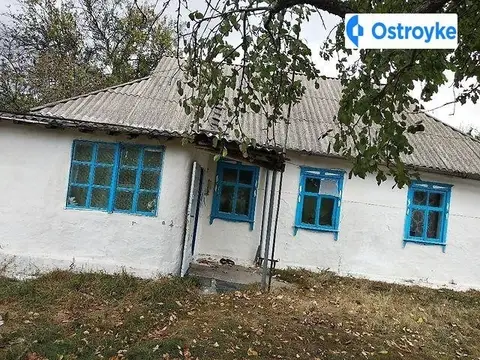 Лісова