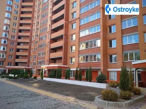 Університетська улица